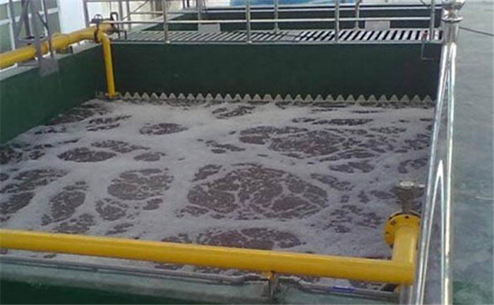 （圖：循環(huán)水起泡現(xiàn)場）