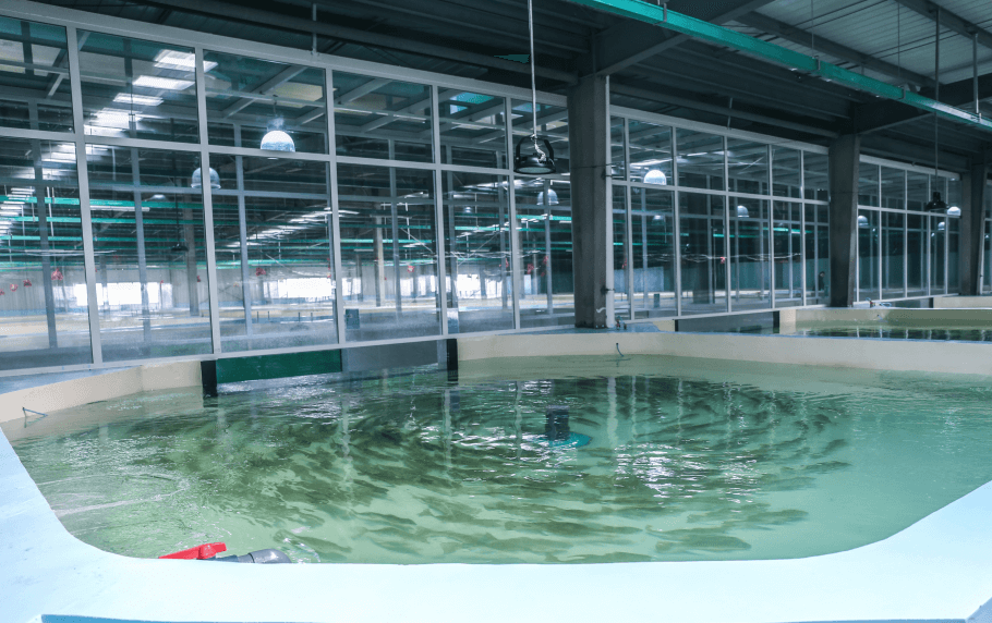 （圖：噴涂水處理用消泡劑應用）